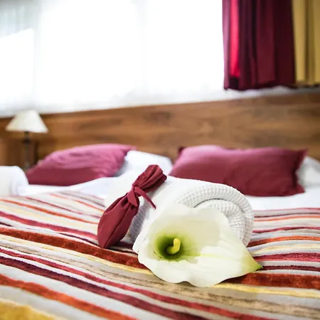 Mangart Hotel Bovec